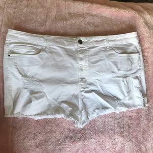 White Distressed Shorts